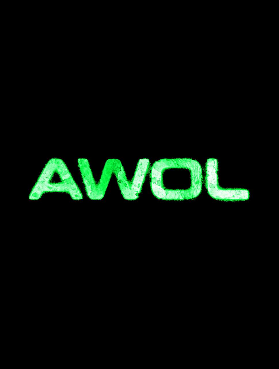 Black AWOL Shirt