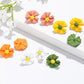 Small Acrylic Daisy Studs for Women
